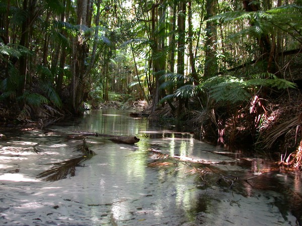 Creek